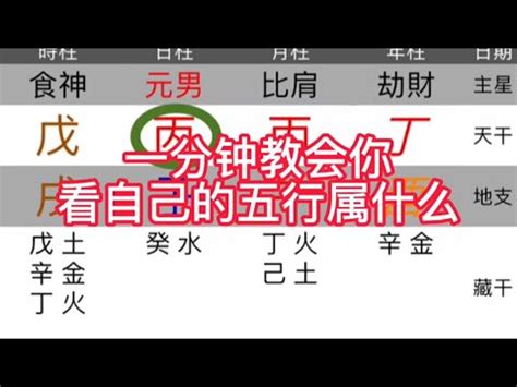 五行 年份|生辰八字查詢，生辰八字五行查詢，五行屬性查詢